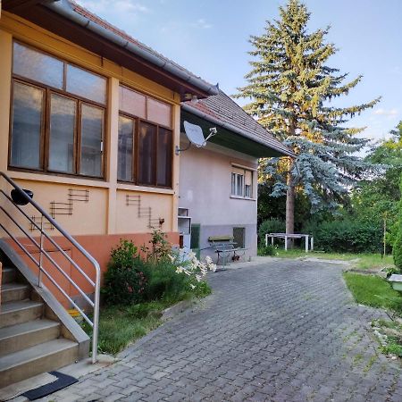 Apartament Zadora Haus Săcele Zewnętrze zdjęcie
