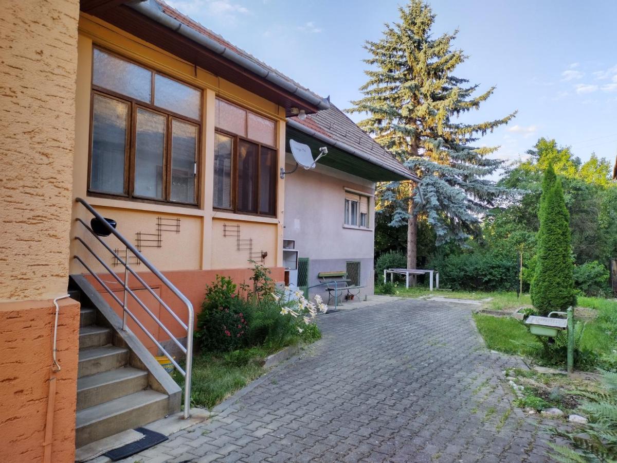 Apartament Zadora Haus Săcele Zewnętrze zdjęcie